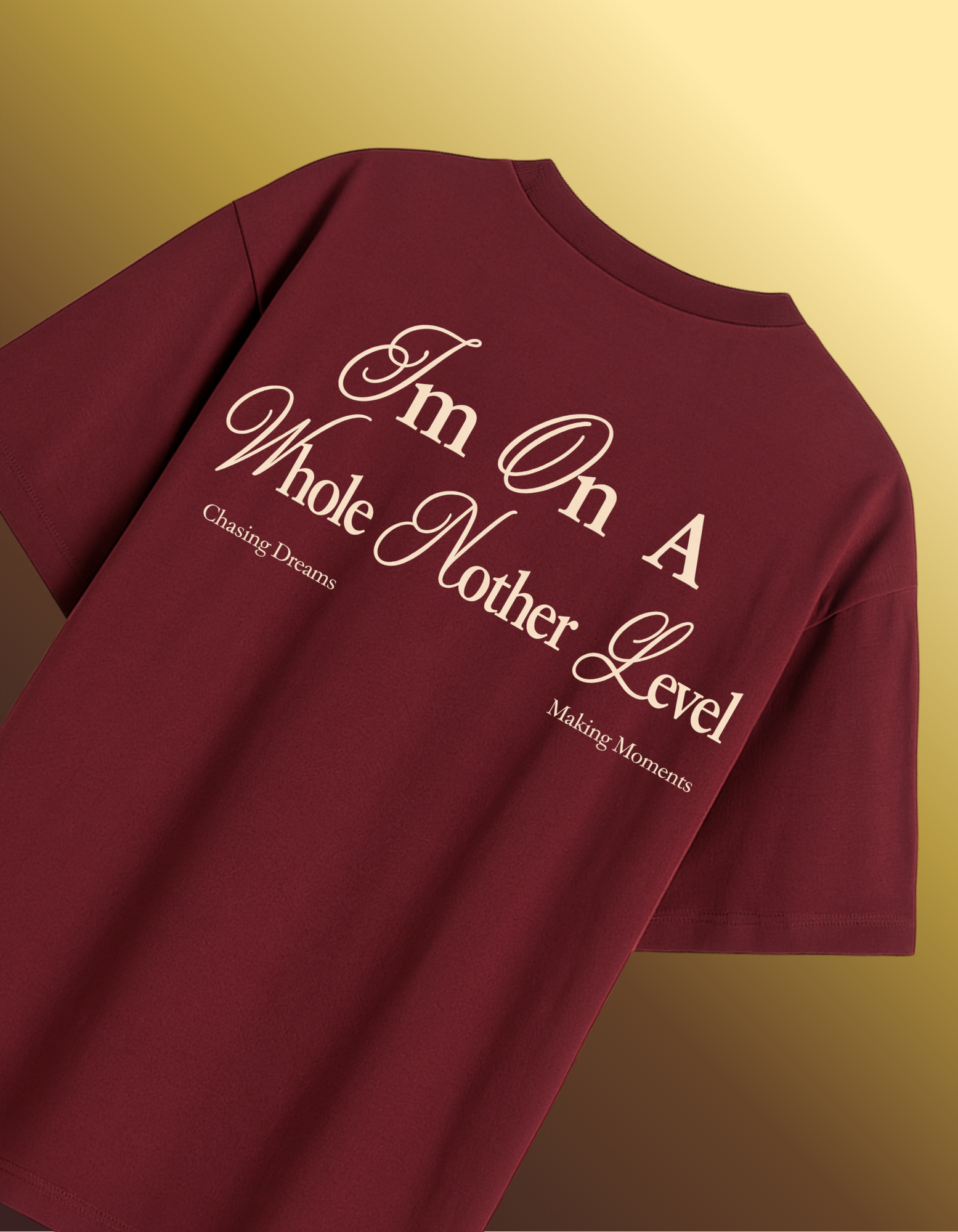 MAROON WHOLE ANOTHER LEVEL T-SHIRT