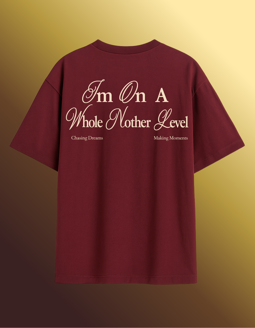 MAROON WHOLE ANOTHER LEVEL T-SHIRT